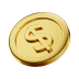 coin icon